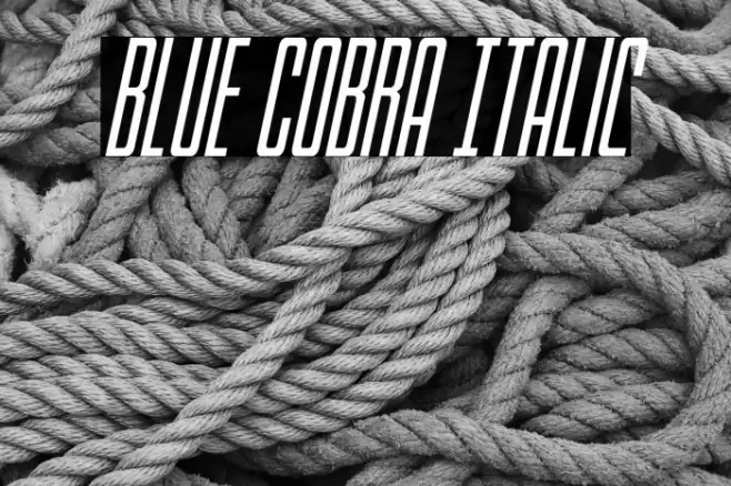 Blue Cobra Italic Font examples