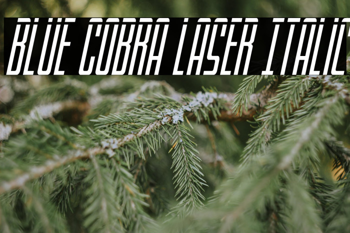 Blue Cobra Laser Italic Example 1