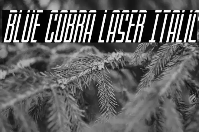 Blue Cobra Laser Italic Font examples