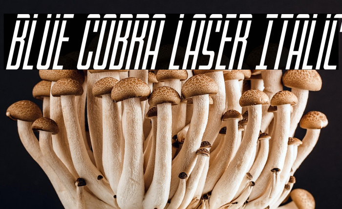 Blue Cobra Laser Italic Example 2
