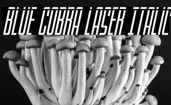 Blue Cobra Laser Italic Font examples