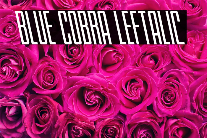 Blue Cobra Leftalic Example 1