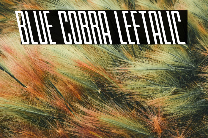 Blue Cobra Leftalic Example 2