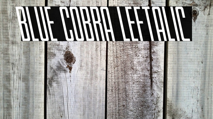 Blue Cobra Leftalic Example 3