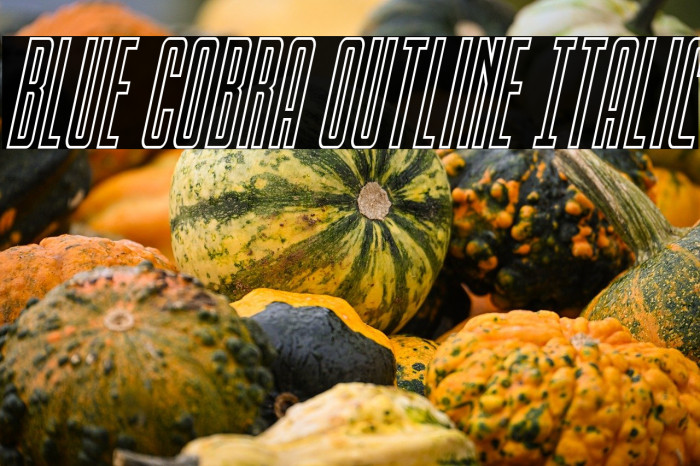 Blue Cobra Outline Italic Example 2