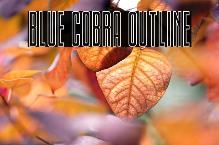 Blue Cobra Outline Example 2