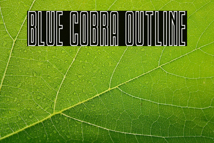 Blue Cobra Outline Example 3