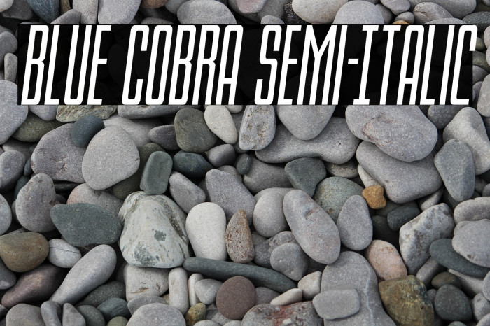 Blue Cobra Semi-Italic Example 1