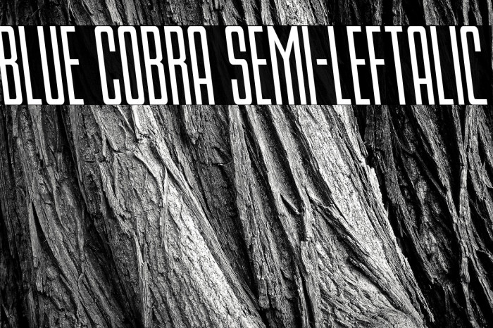 Blue Cobra Semi-Leftalic Example 2