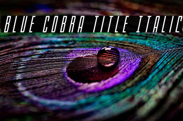 Blue Cobra Title Italic Example 2