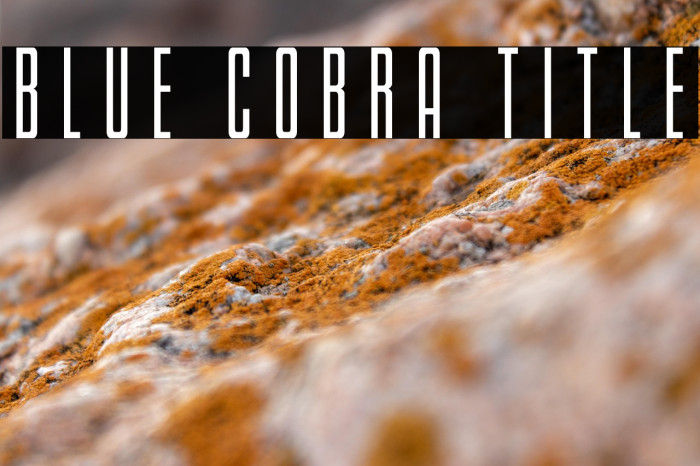 Blue Cobra Title Example 1