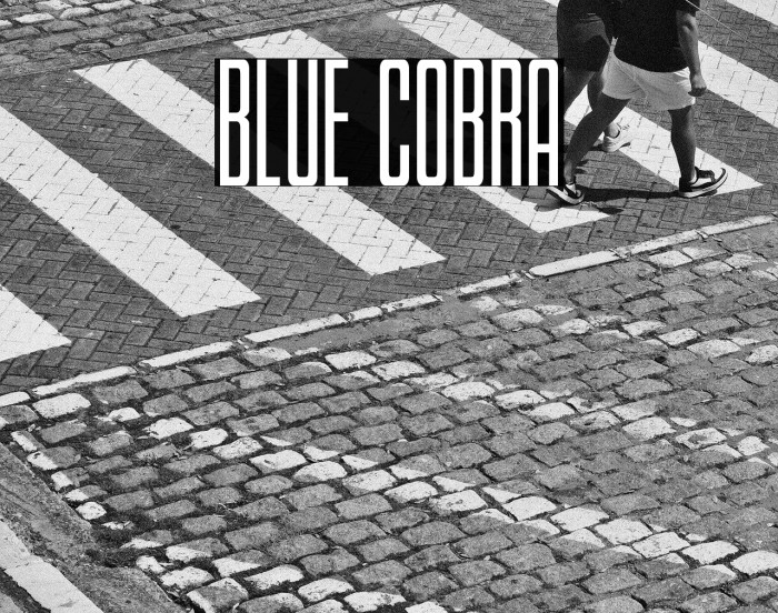 Blue Cobra Example 3