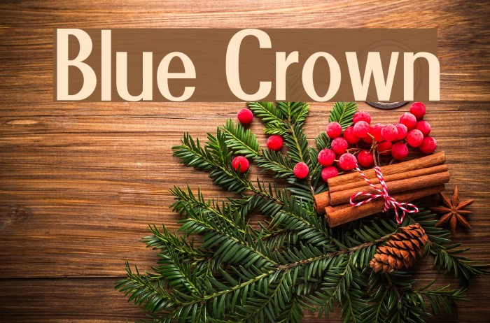 Blue Crown Font examples