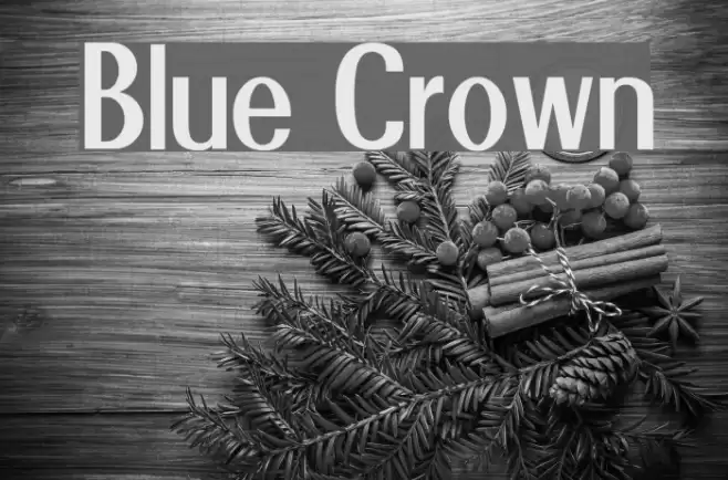 Blue Crown Font examples