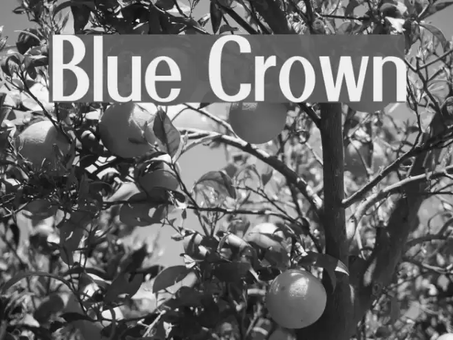 Blue Crown Font examples