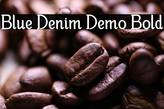 Blue Denim Demo Bold Example 1