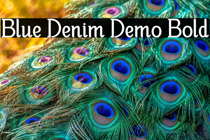 Blue Denim Demo Bold Example 3
