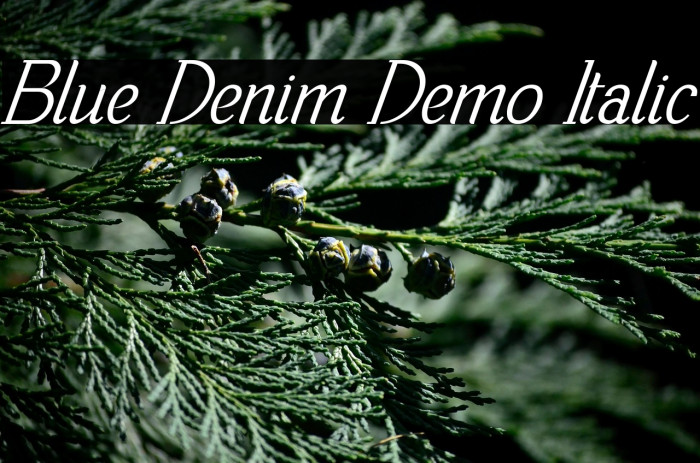 Blue Denim Demo Italic Example 3
