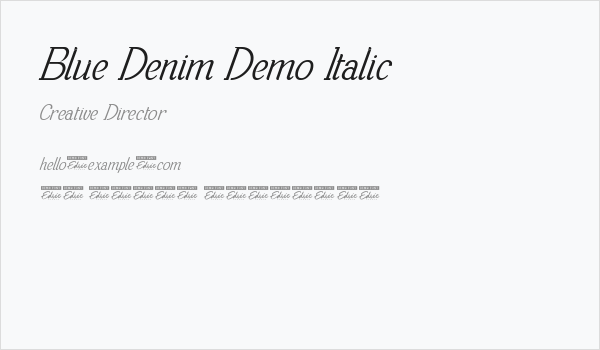Blue Denim Demo Italic Business Card