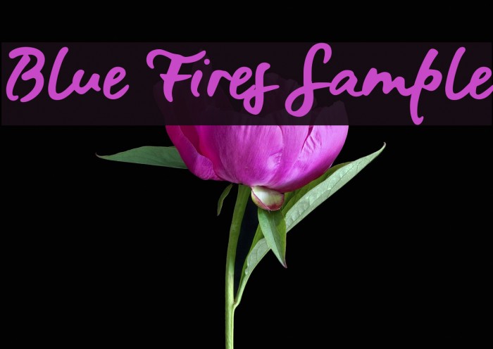 Blue Fires Sample Font examples