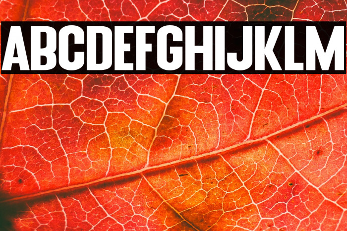 Blue Fonte Sans Example 1