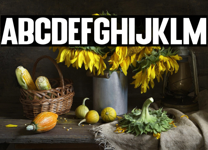 Blue Fonte Sans Example 3