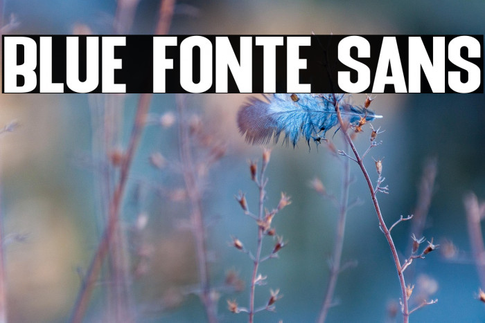 Blue Fonte Sans Example 1