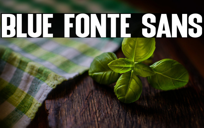 Blue Fonte Sans Example 2