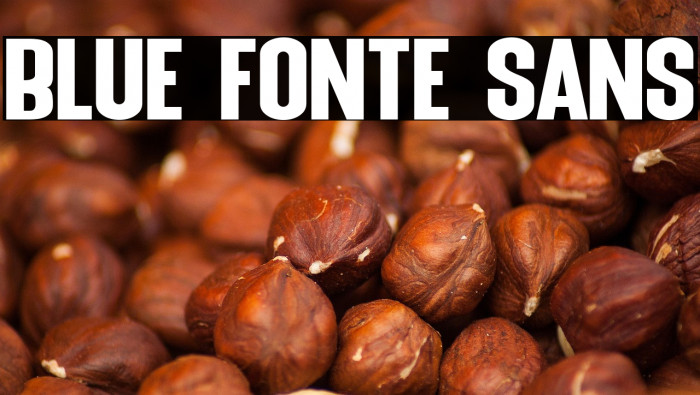 Blue Fonte Sans Example 3