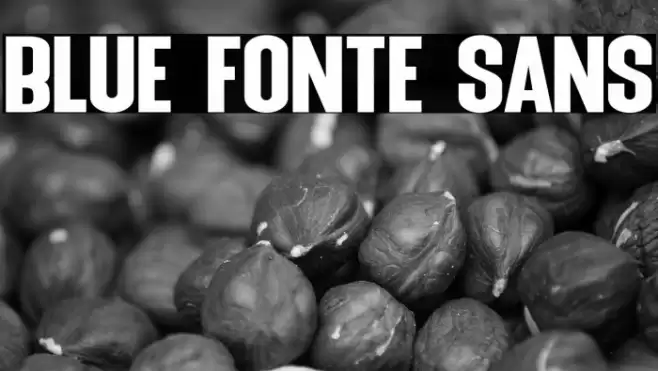Blue Fonte Sans Font examples