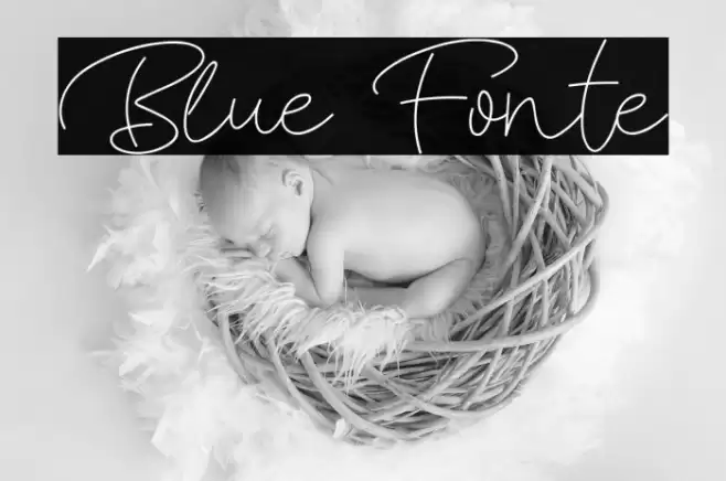 Blue Fonte Font examples