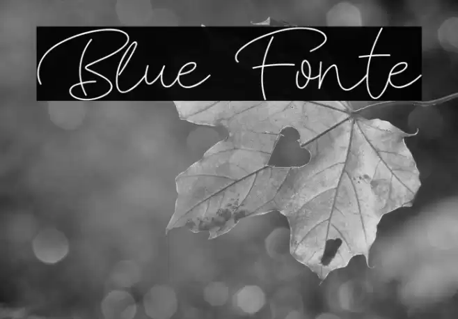 Blue Fonte Font examples