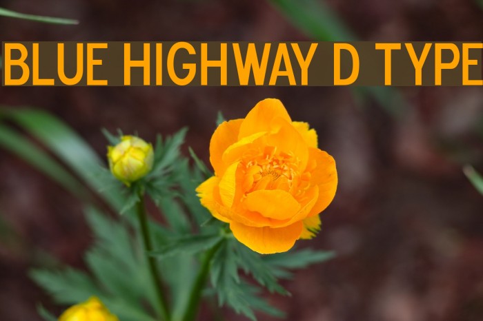 Blue Highway D Type Font examples