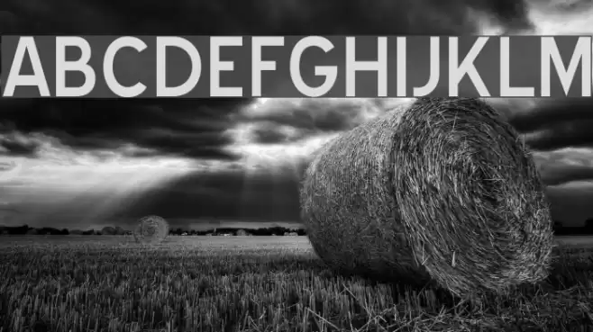 Blue Highway Font examples