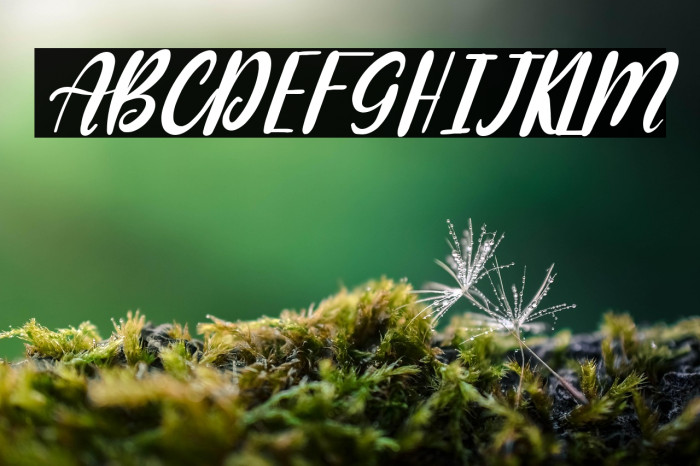 Blue Julieta Italic Example 2