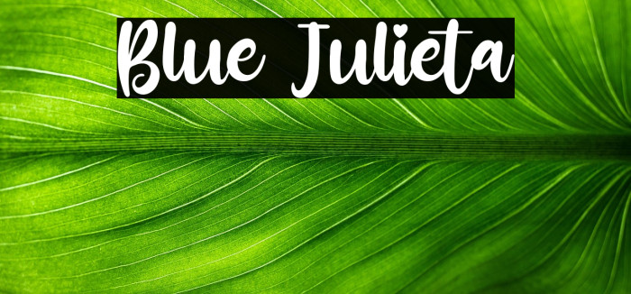 Blue Julieta Example 2