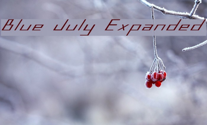 Blue July Expanded Font examples