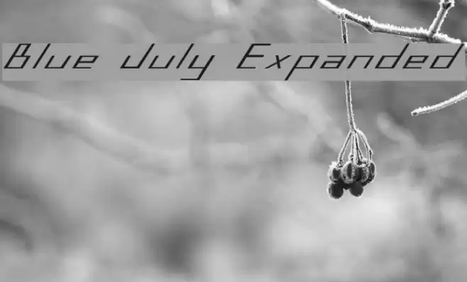 Blue July Expanded Polices examples