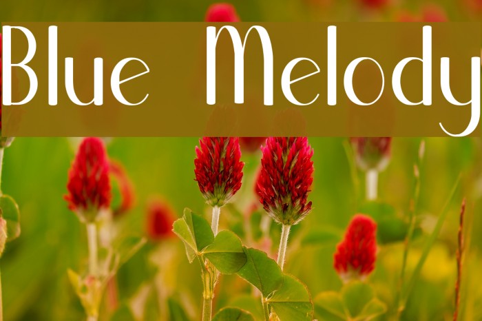 Blue Melody Font examples