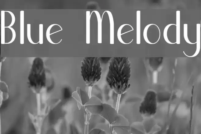 Blue Melody Font examples