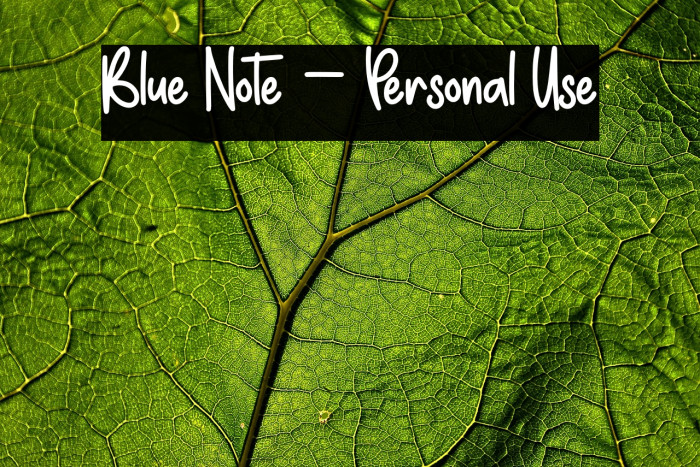 Blue Note - Personal Use Example 2