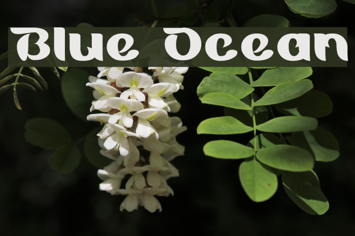 Blue Ocean Font examples