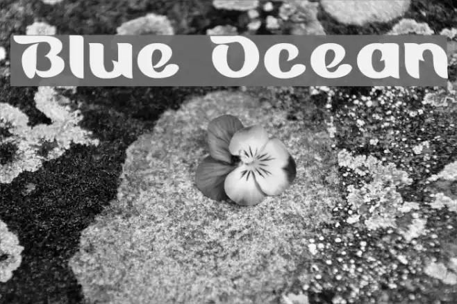 Blue Ocean Fonte examples
