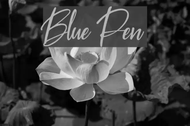 Blue Pen Font examples