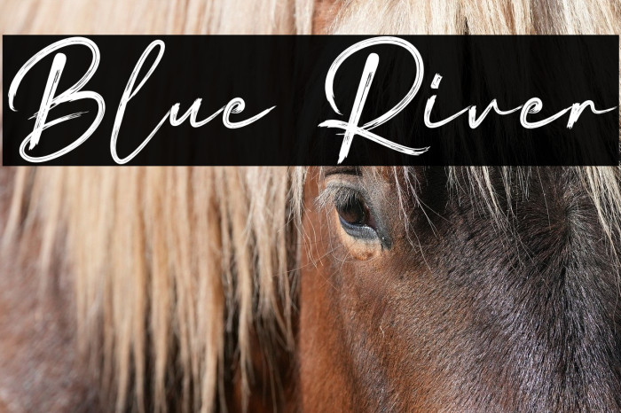 Blue River Example 1