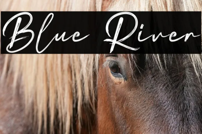 Blue River Example 1