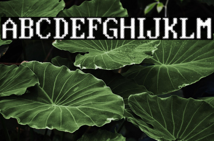 Blue Screen Personal Use Regular Example 2