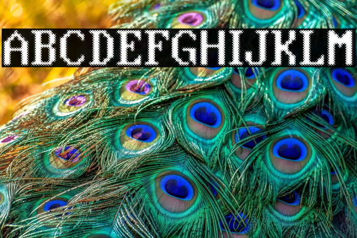 Blue Screen Personal Use Regular Example 3