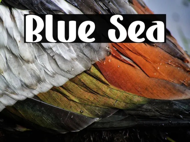 Blue Sea Example 2