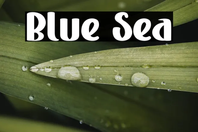 Blue Sea Example 3
